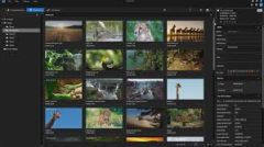 Grass Valley EDIUS 11 Workgroup Upgrade İkinci Lisans